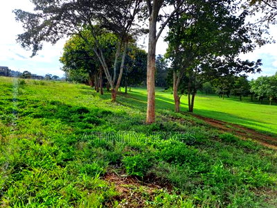 Golf Front Quarter Acre Plot - Image 1