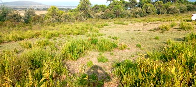 1.5-Acre Lake View Property