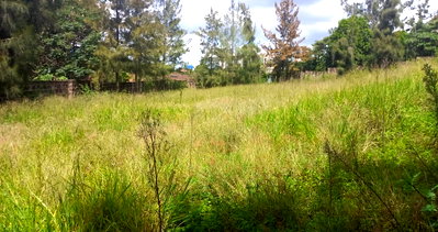 Half Acre Plot in Brookside