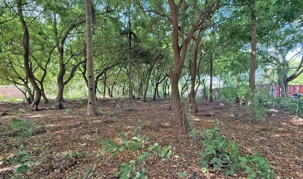 Half Acre in Watamu for KSh 12.8M