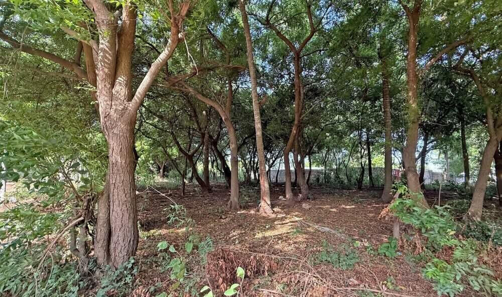 Half Acre in Watamu for KSh 12.8M
