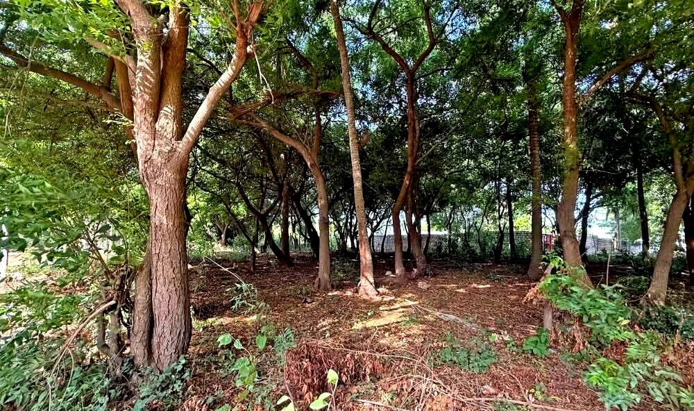 Half Acre in Watamu for KSh 12.8M