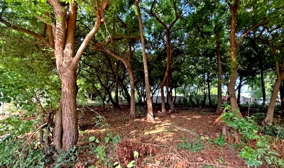 Half Acre in Watamu for KSh 12.8M