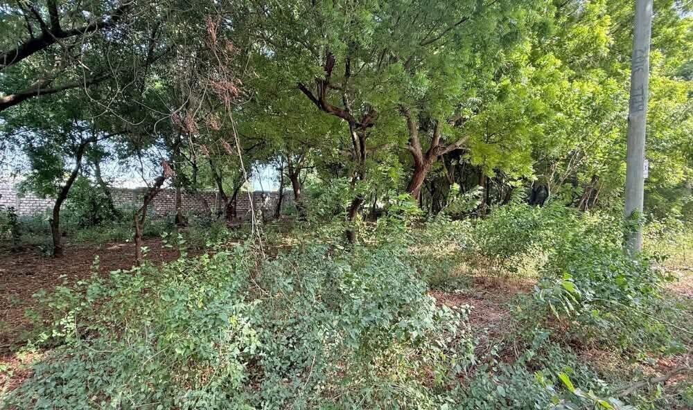 Half Acre in Watamu for KSh 12.8M