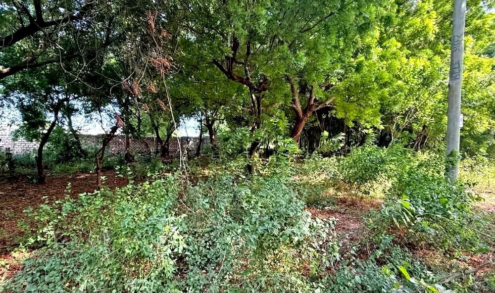 Half Acre in Watamu for KSh 12.8M