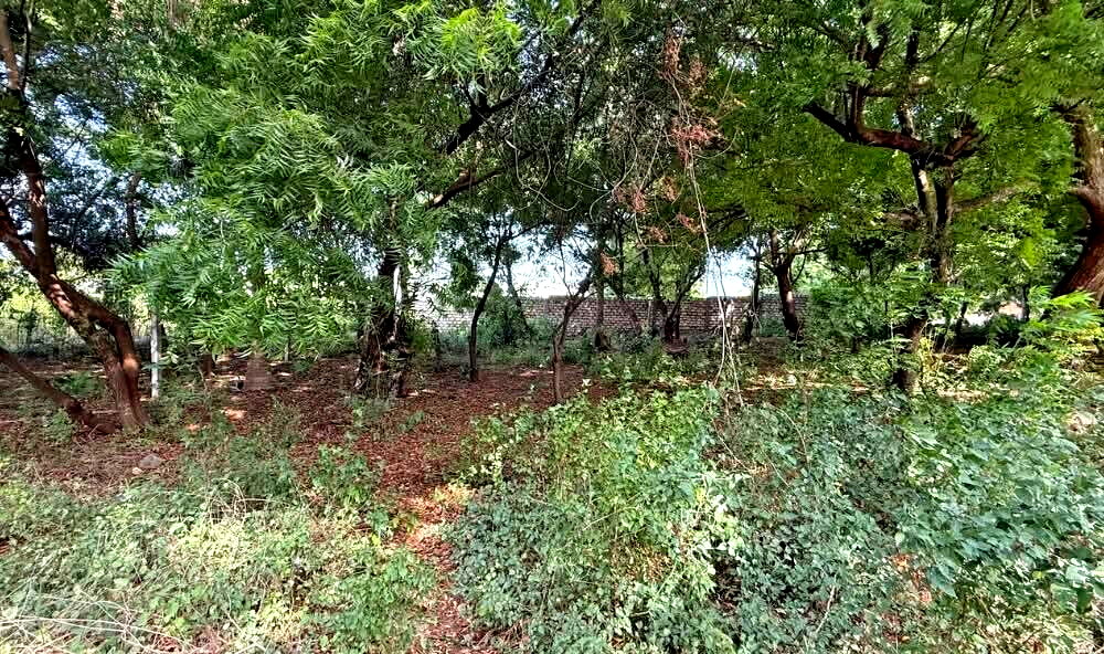 Half Acre in Watamu for KSh 12.8M