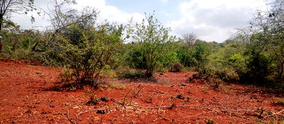 Embu County,Mariari 1.6 Acres on Sale - Image 4