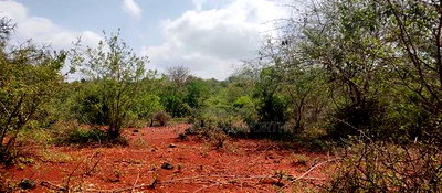 Embu County,Mariari 1.6 Acres on Sale - Image 9