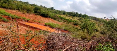 Embu County,Mariari 1.6 Acres on Sale - Image 13