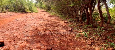 Embu County,Mariari 1.6 Acres on Sale - Image 7
