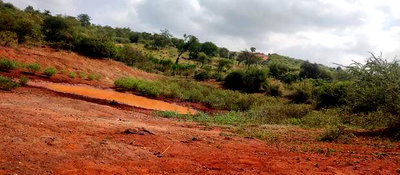 Embu County,Mariari 1.6 Acres on Sale - Image 3