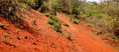 Embu County,Mariari 1.6 Acres on Sale - Image 12