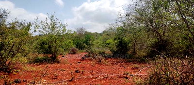 Embu County,Mariari 1.6 Acres on Sale - Image 8