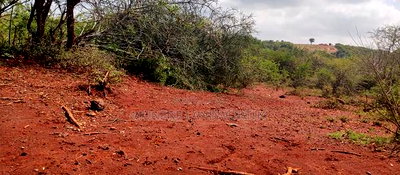 Embu County,Mariari 1.6 Acres on Sale - Image 5