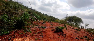 Embu County,Mariari 1.6 Acres on Sale - Image 2