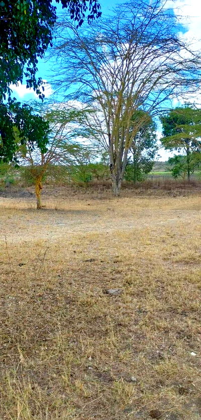 39-Acre Land with Godowns
