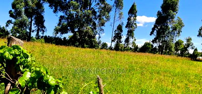 7 Acres With Homestead for Sale Mlango Kapseret Eldoret - Image 5