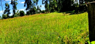 7 Acres With Homestead for Sale Mlango Kapseret Eldoret - Image 4