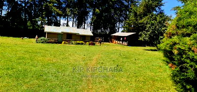 7 Acres With Homestead for Sale Mlango Kapseret Eldoret - Image 8