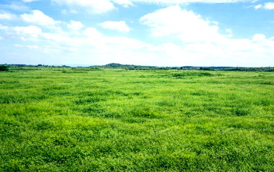 20-Acre Garden Land with Parking - KSh 360M