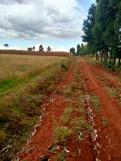 4 Acres Kaprobu 3.5km From Tarmac - Image 1