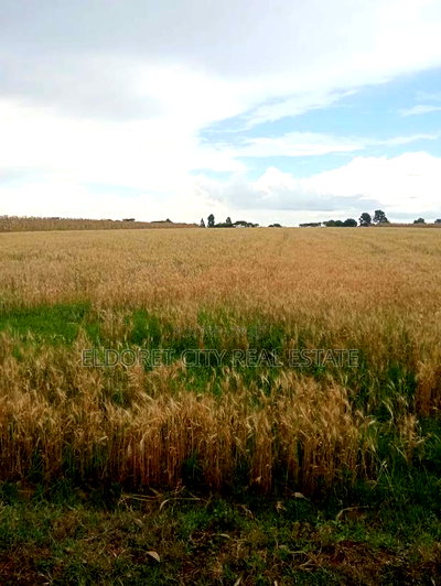 4 Acres Kaprobu 3.5km From Tarmac - Image 2