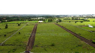 50 by 100 Ft Plots , Maimahiu Highway - Image 1