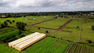 50 by 100 Ft Plots , Maimahiu Highway - Image 2