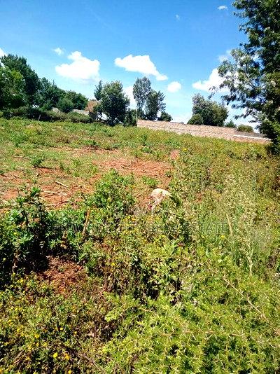 1/4 Plot Kimumu Betterfarm With Title - Image 2