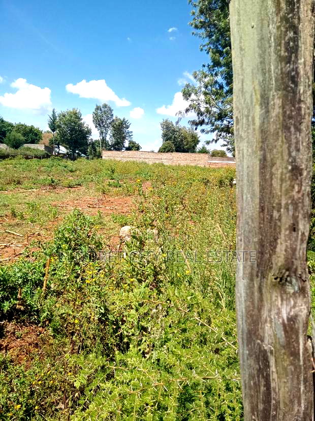 1/4 Plot Kimumu Betterfarm With Title