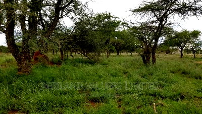 Plots for Sale in Kajiado Town - Image 12