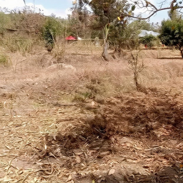 Prime 1.5 Acres Ithanga Muranga County