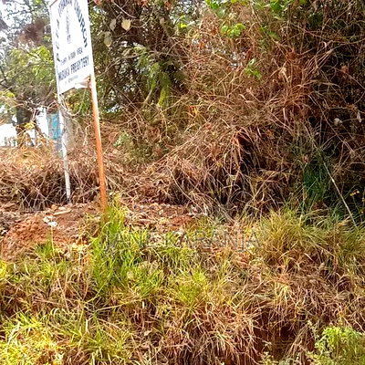 Prime 1.5 Acres Ithanga Muranga County - Image 7