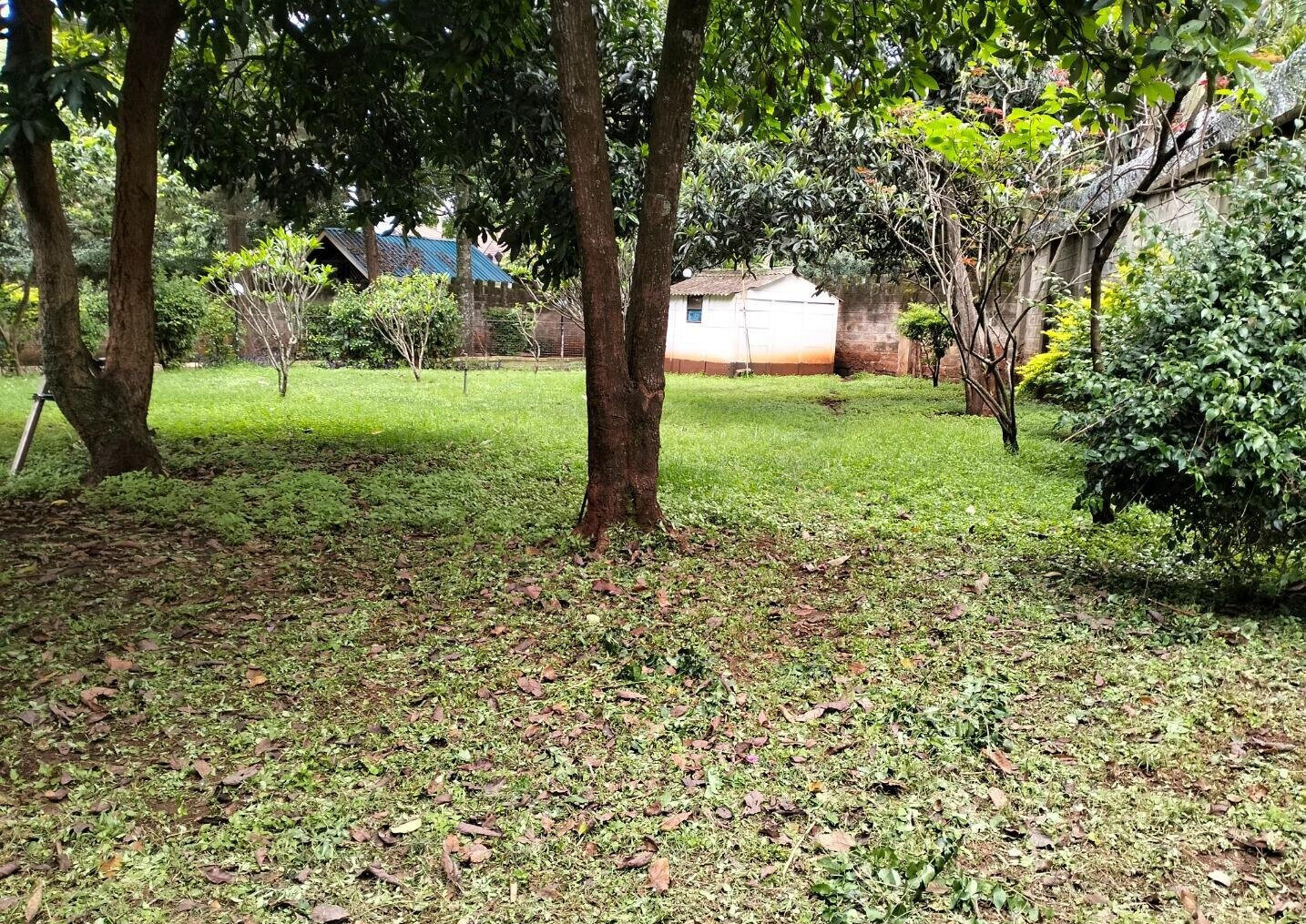 3/4 Acre Lavington Plot with Garden