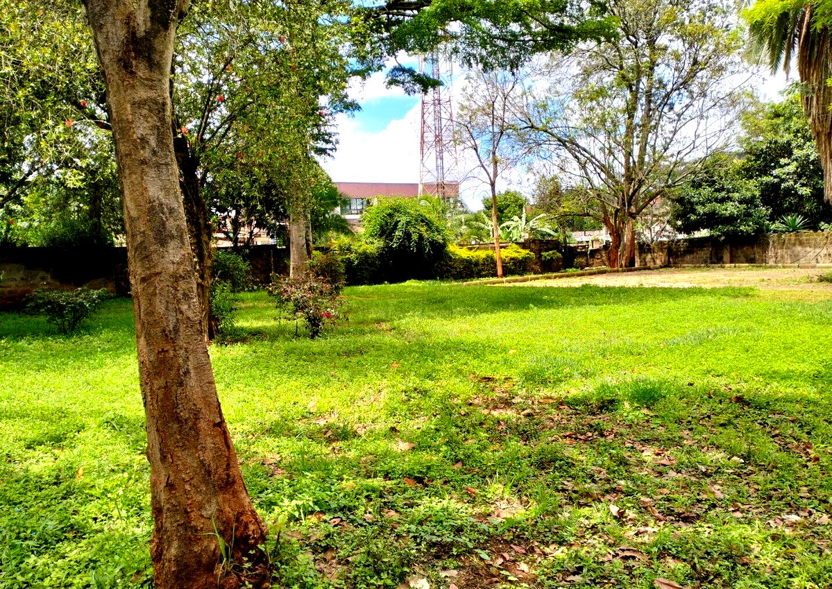 3/4 Acre Lavington Plot with Garden