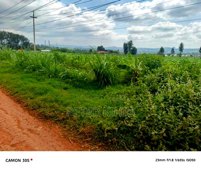 Redhill 1.8ac Near Tropical Heat Company - Image 1