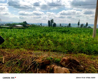 Redhill 1.8ac Near Tropical Heat Company - Image 2