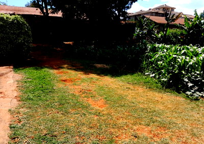 Ndenderu Plot for KSh 7.5M
