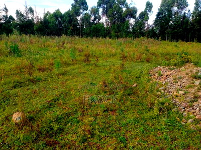 2 Acres Land for Sale in Ngeria Eldoret - Image 5