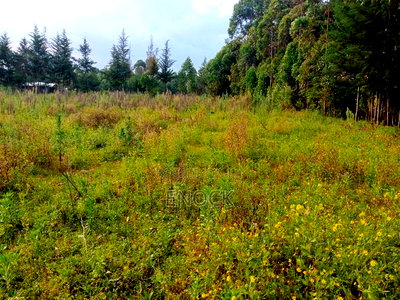 2 Acres Land for Sale in Ngeria Eldoret - Image 4