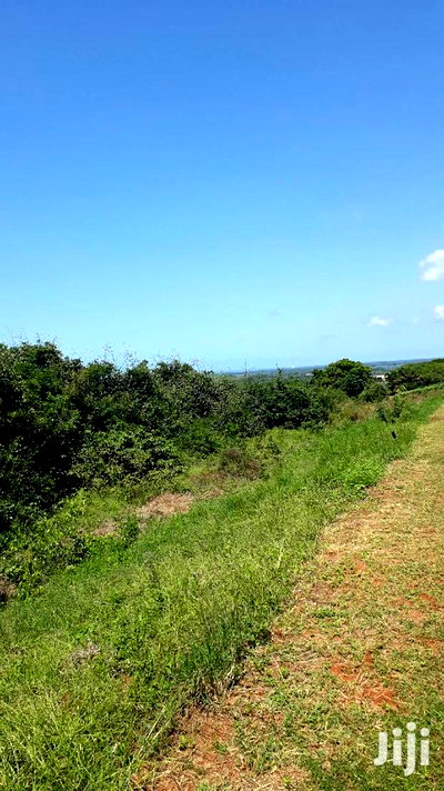 For Sale 1 Acre Plot Vipingo Ridge - Image 5