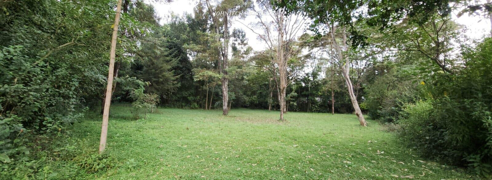 Half Acre Karen Plot at 45M