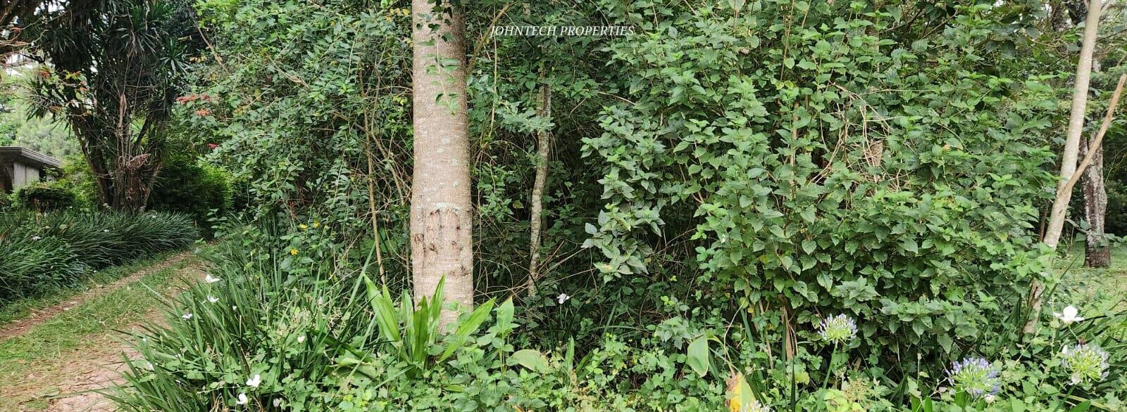 Half Acre Karen Plot at 45M