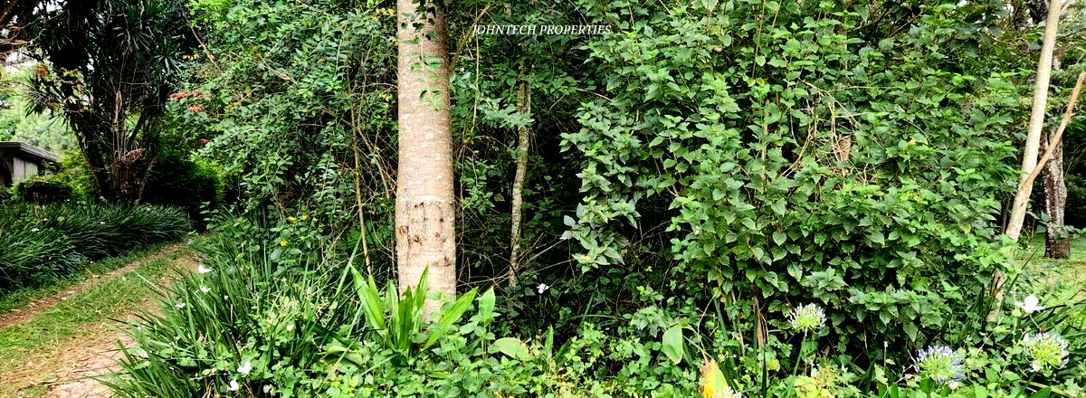 Half Acre Karen Plot at 45M