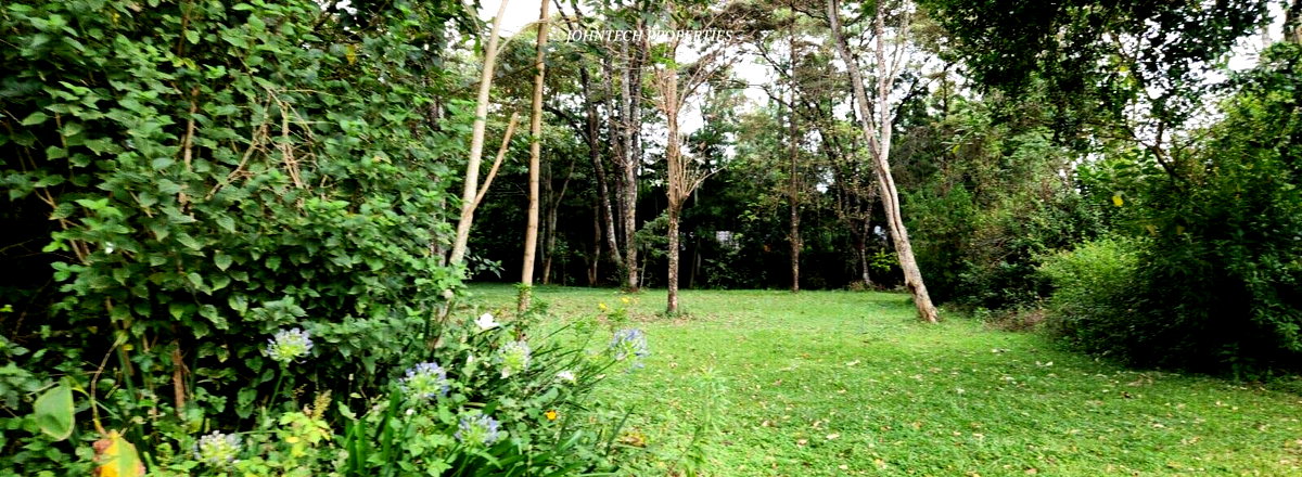 Half Acre Karen Plot at 45M