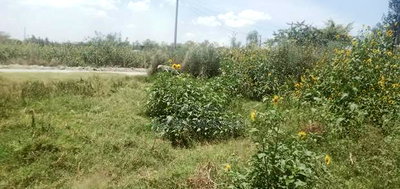 30ft X 150ft Plot Athiriver - Image 1