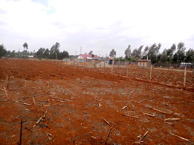 1/4 Plots Kuinet Ideal for Residential