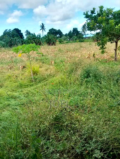 Malindi 10 Acres Ready Title Deed - Image 2