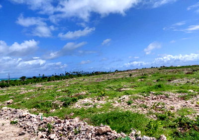 KSh 6M Garden Plot in Watamu