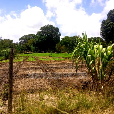 1/2 Acre Kikambala - Image 1
